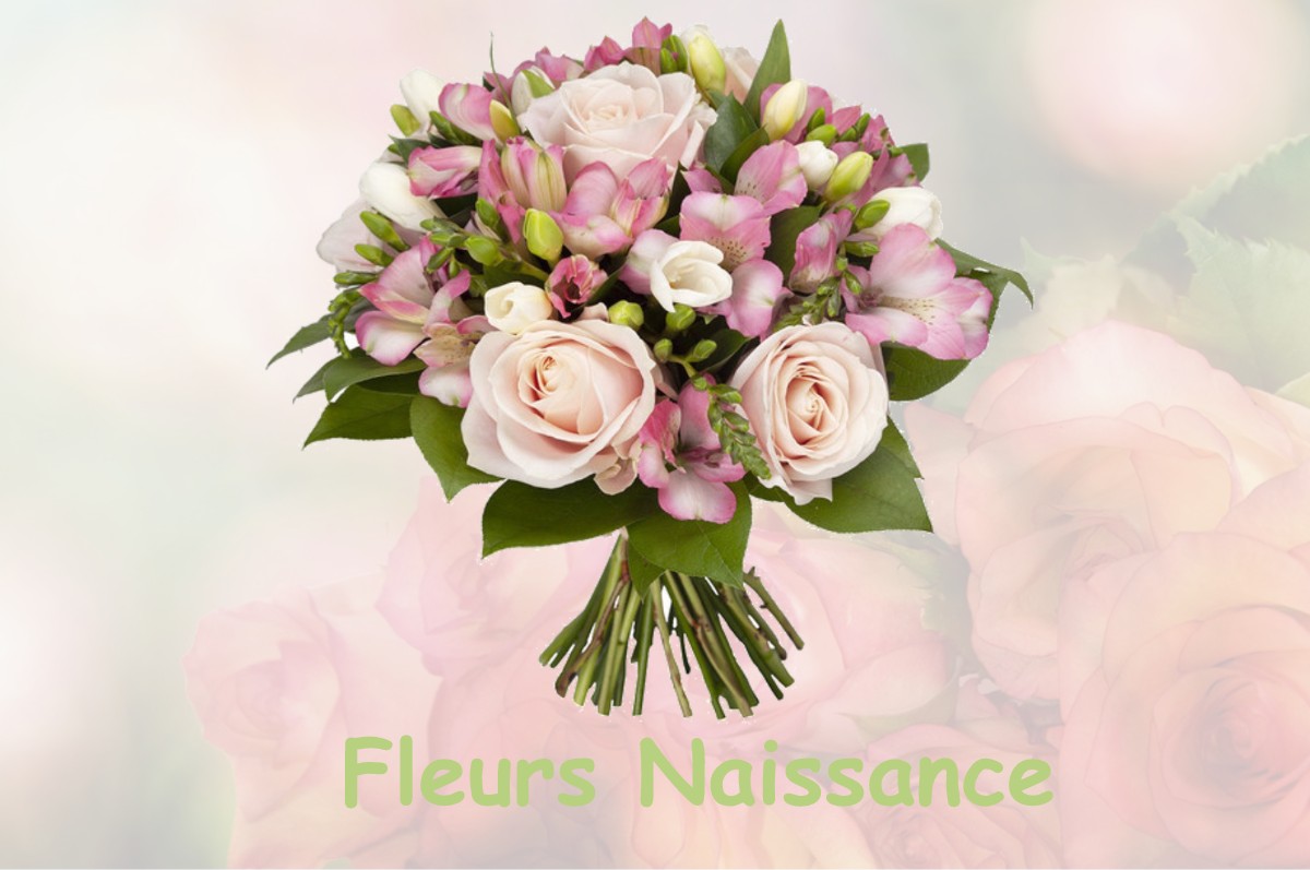 fleurs naissance REVIGNY-SUR-ORNAIN