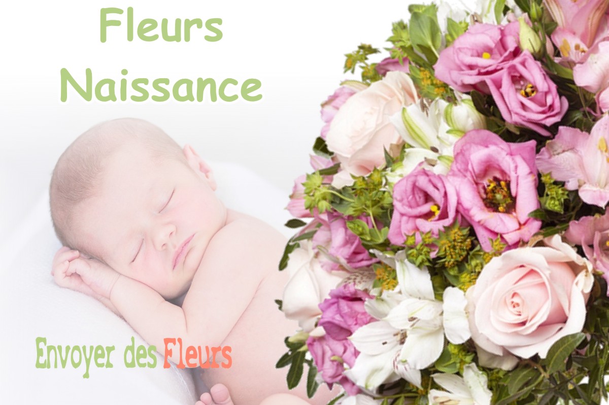 lIVRAISON FLEURS NAISSANCE à REVIGNY-SUR-ORNAIN